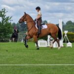 Defence Animal Training Regiement - Horse Trials 